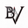 BLUE VEGA logo